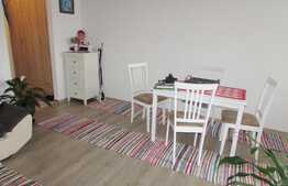 Garsoniera 30 mp, prima inchiriere, mobilata modern, zona Aleea Detunata