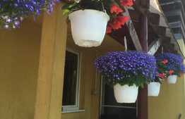 Casa individuala de 60 mp, teren de 1050 mp! Zona Terra!