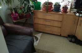 Casa individuala de 60 mp, teren de 1050 mp! Zona Terra!