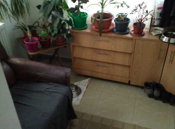 Casa de vânzare 2 camere Floreşti - 31136CV | BLITZ Cluj-Napoca | Poza6