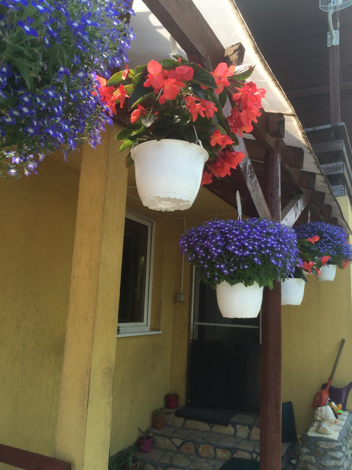 Casa de vânzare 2 camere Floreşti - 31136CV | BLITZ Cluj-Napoca | Poza5