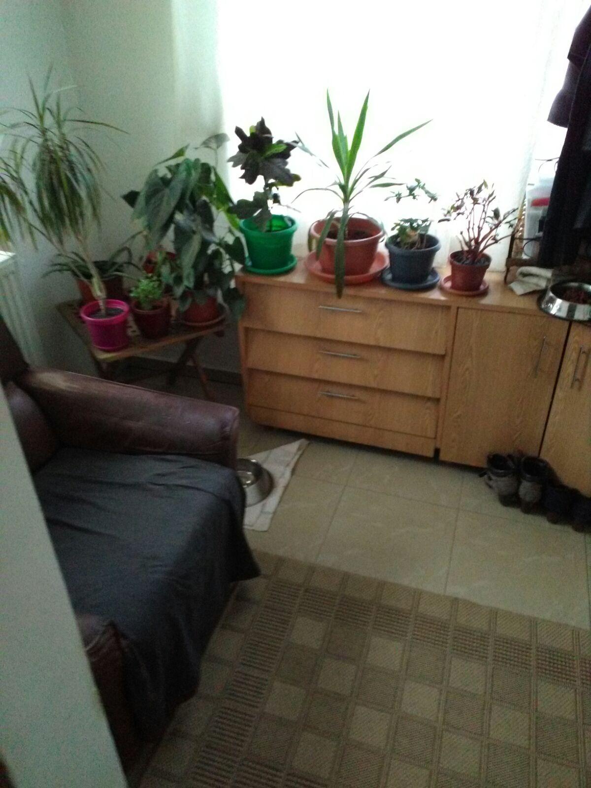 Casa de vânzare 2 camere Floreşti - 31136CV | BLITZ Cluj-Napoca | Poza6