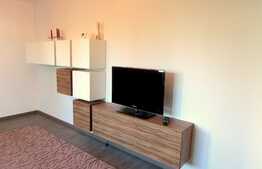 Apartament 2 camere, 55 mp, AC, zona strazii Constantin Brancusi