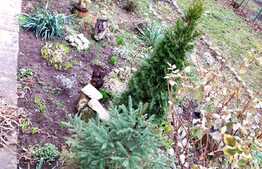 Apartament 3 camere, 67 mp, boxa, zona strazii Bucium