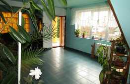 Casa individuala 250 mp utili, 1385 mp teren, front 20 ml, zona Autogarii