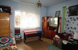 Casa individuala 250 mp utili, 1385 mp teren, front 20 ml, zona Autogarii