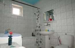 Casa individuala 250 mp utili, 1385 mp teren, front 20 ml, zona Autogarii