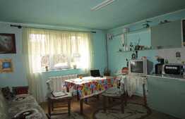 Casa individuala 250 mp utili, 1385 mp teren, front 20 ml, zona Autogarii