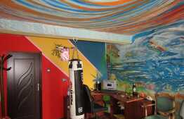 Casa individuala 250 mp utili, 1385 mp teren, front 20 ml, zona Autogarii