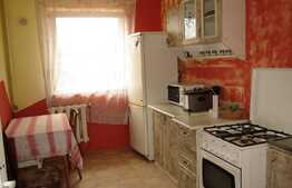 Casa individuala 250 mp utili, 1385 mp teren, front 20 ml, zona Autogarii