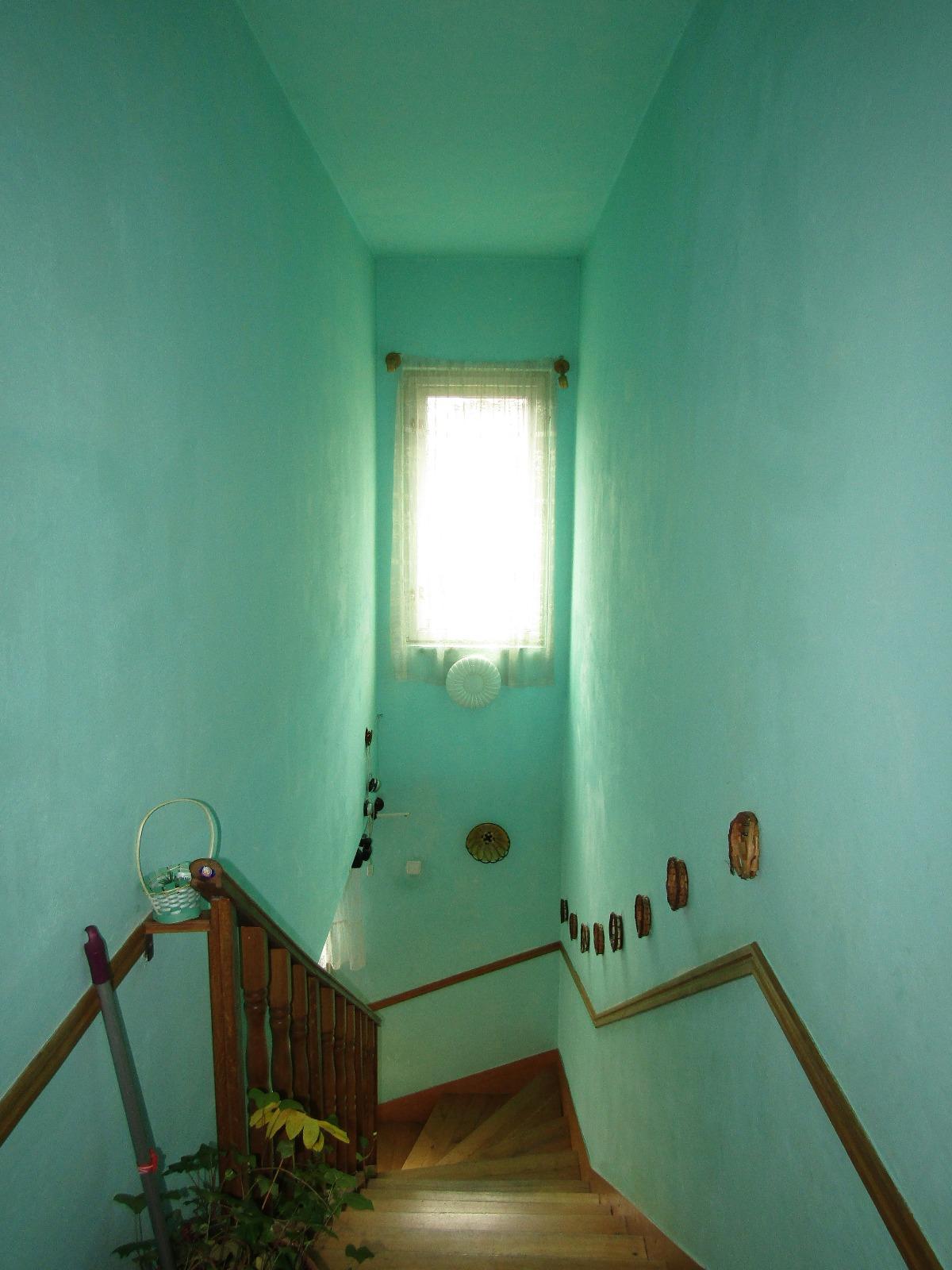 Casa de vânzare 10 camere Dambul Rotund - 31141CV | BLITZ Cluj-Napoca | Poza10