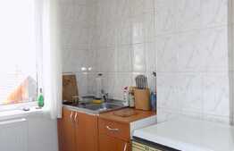 Garsoniera 30 mp, decomandat, zona strazii Horea