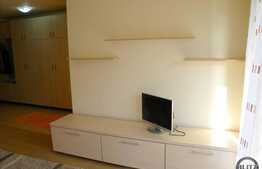 1 camera, 41 mp, balcon, mobilat modern, imobil nou, zona Flora Park