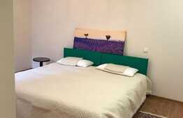 Garsoniera 30 mp, decomandata, prima inchiriere, zona Piata Muzeului