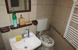 Garsoniera de inchiriat, 30 mp, zona magazinului Profi