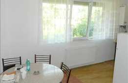 1 camera, 40 mp, parcare, imobil nou, zona Borhanciului!