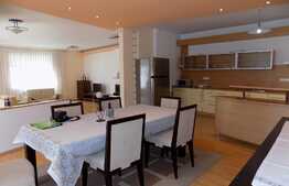 Casa de inchiriat, 350 mp, teren de 650, garaj, zona Eftimie Murgu