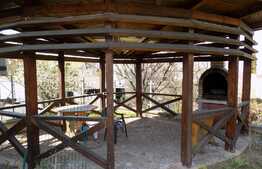 Casa de inchiriat, 350 mp, teren de 650, garaj, zona Eftimie Murgu