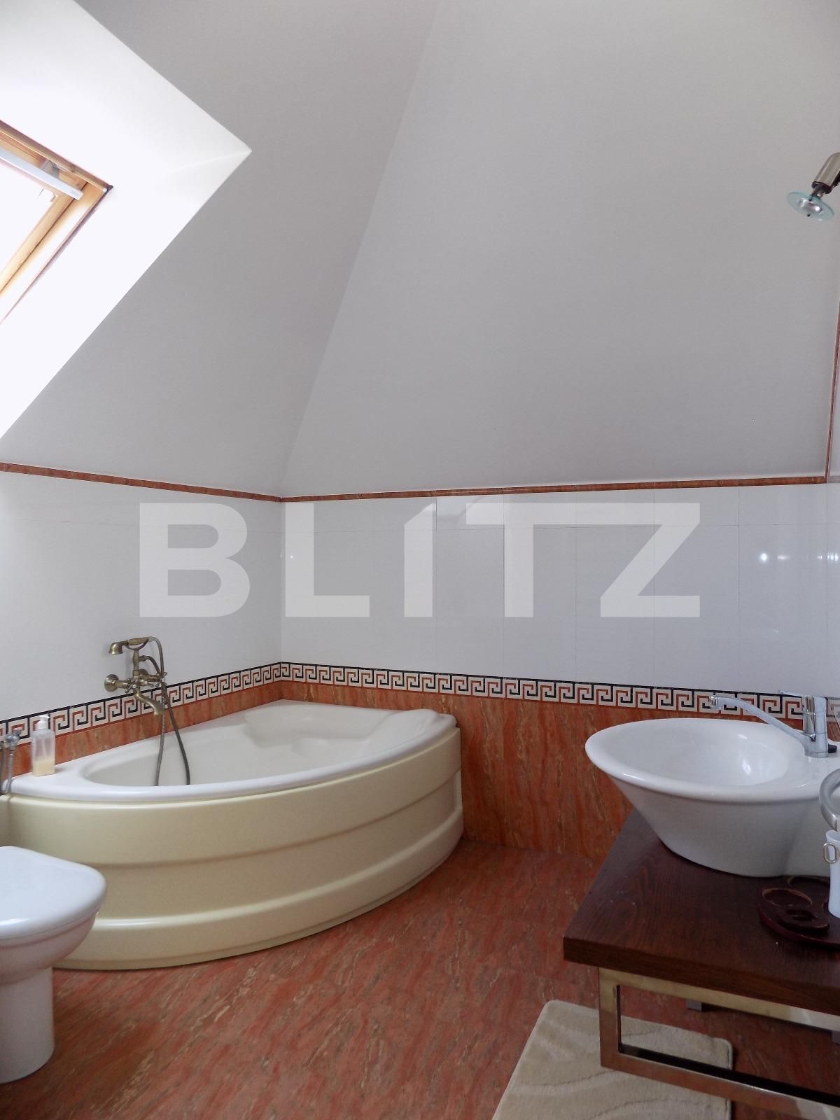 Casa de închiriat 8 camere Andrei Mureşanu - 31197CI | BLITZ Cluj-Napoca | Poza17