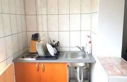 Garsoniera 30 mp, zona strazii Observatorului