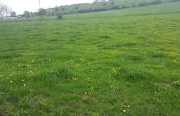 Teren intravilan de 10 560 mp! Zona Tauti!