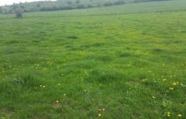 Teren intravilan de 10 560 mp! Zona Tauti!