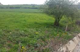 Teren intravilan de 10 560 mp! Zona Tauti!