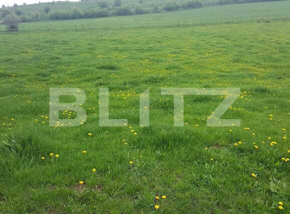 Teren de vânzare Floreşti - 31271TV | BLITZ Cluj-Napoca | Poza3