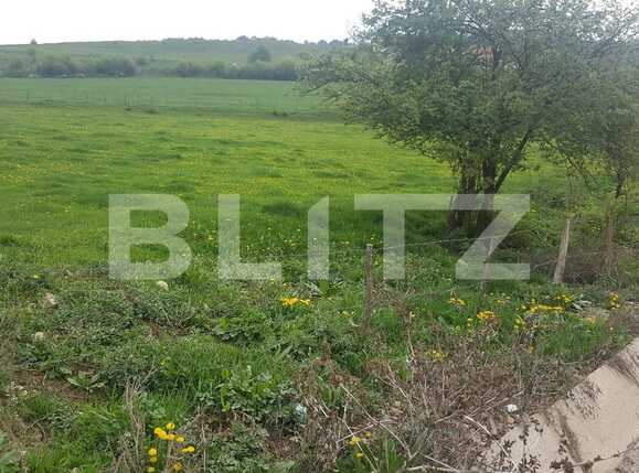 Teren de vânzare Floreşti - 31271TV | BLITZ Cluj-Napoca | Poza1