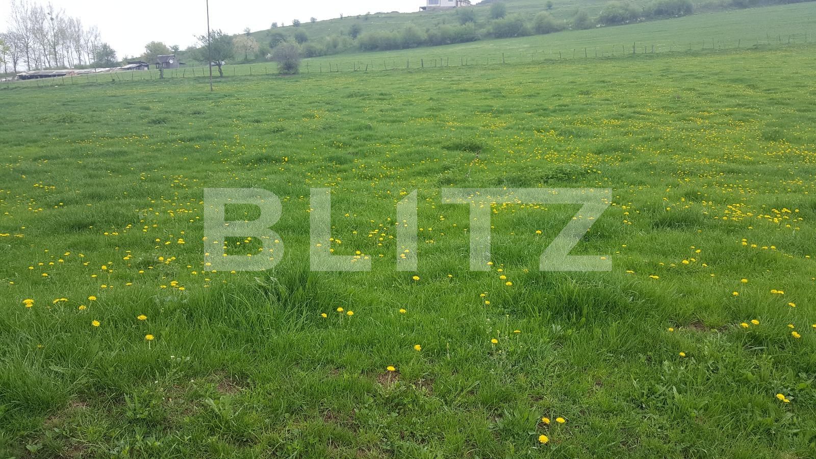 Teren de vânzare Floreşti - 31271TV | BLITZ Cluj-Napoca | Poza2