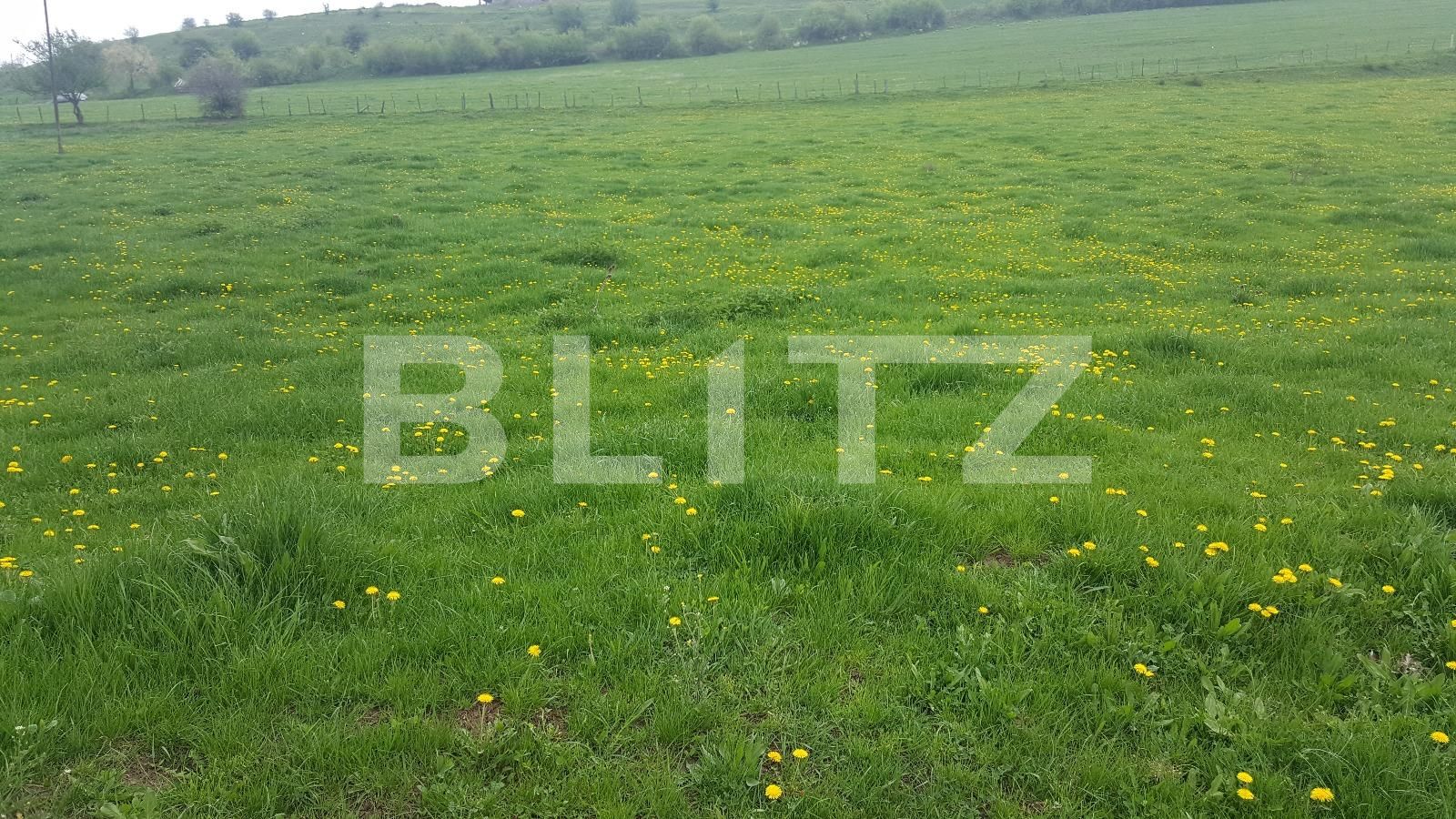 Teren de vânzare Floreşti - 31271TV | BLITZ Cluj-Napoca | Poza3