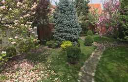 Casa individuala, 135 mp, 468 mp teren, zona linistita