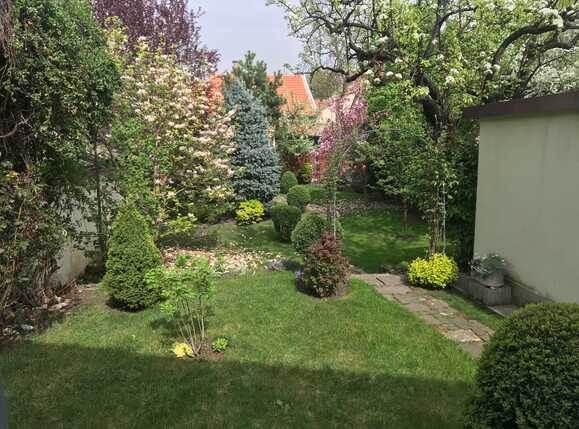 Casa de vânzare 3 camere Gheorgheni - 31288CV | BLITZ Cluj-Napoca | Poza14