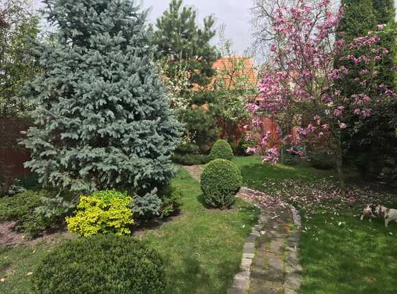 Casa de vânzare 3 camere Gheorgheni - 31288CV | BLITZ Cluj-Napoca | Poza13