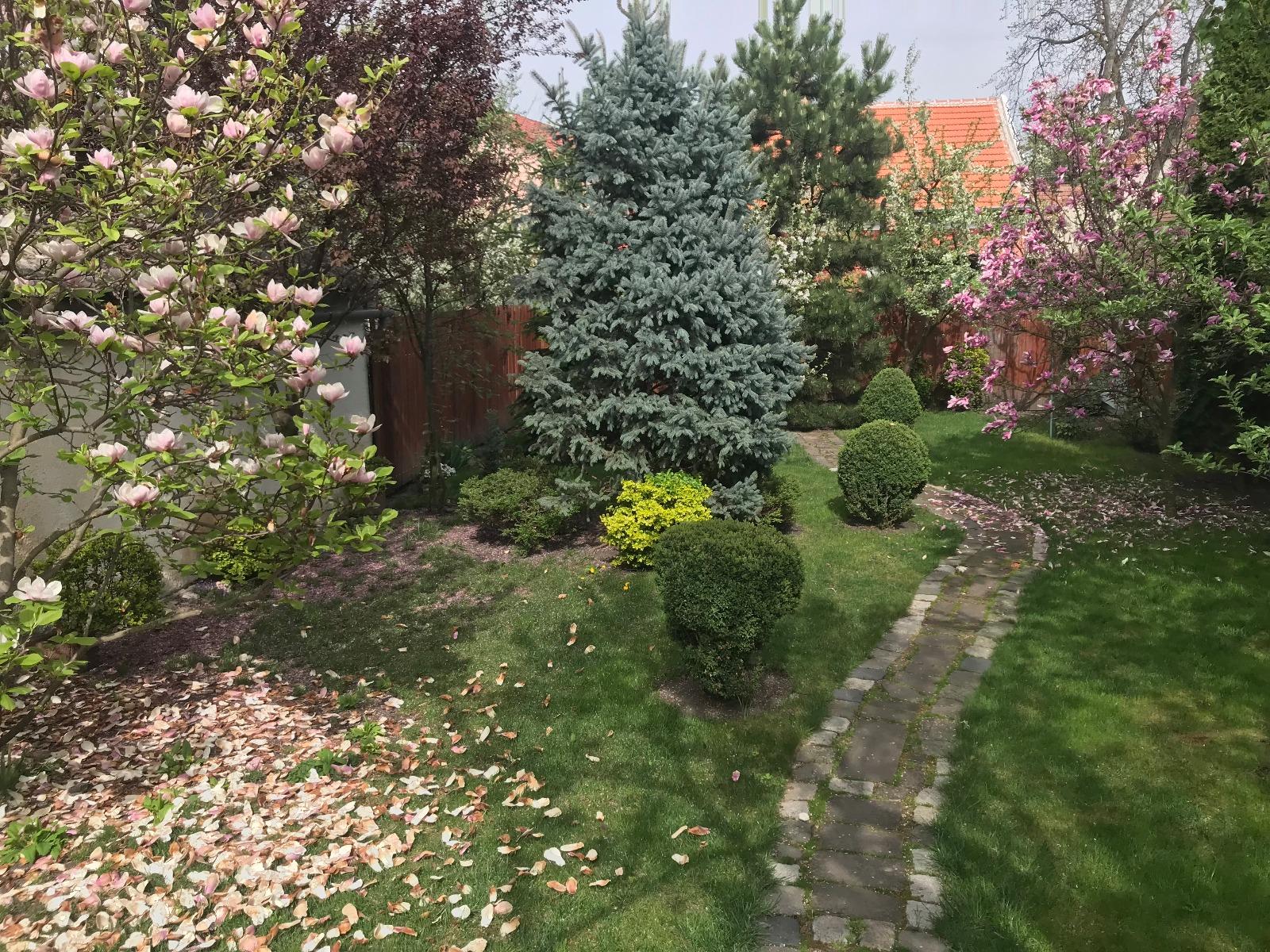 Casa de vânzare 3 camere Gheorgheni - 31288CV | BLITZ Cluj-Napoca | Poza11