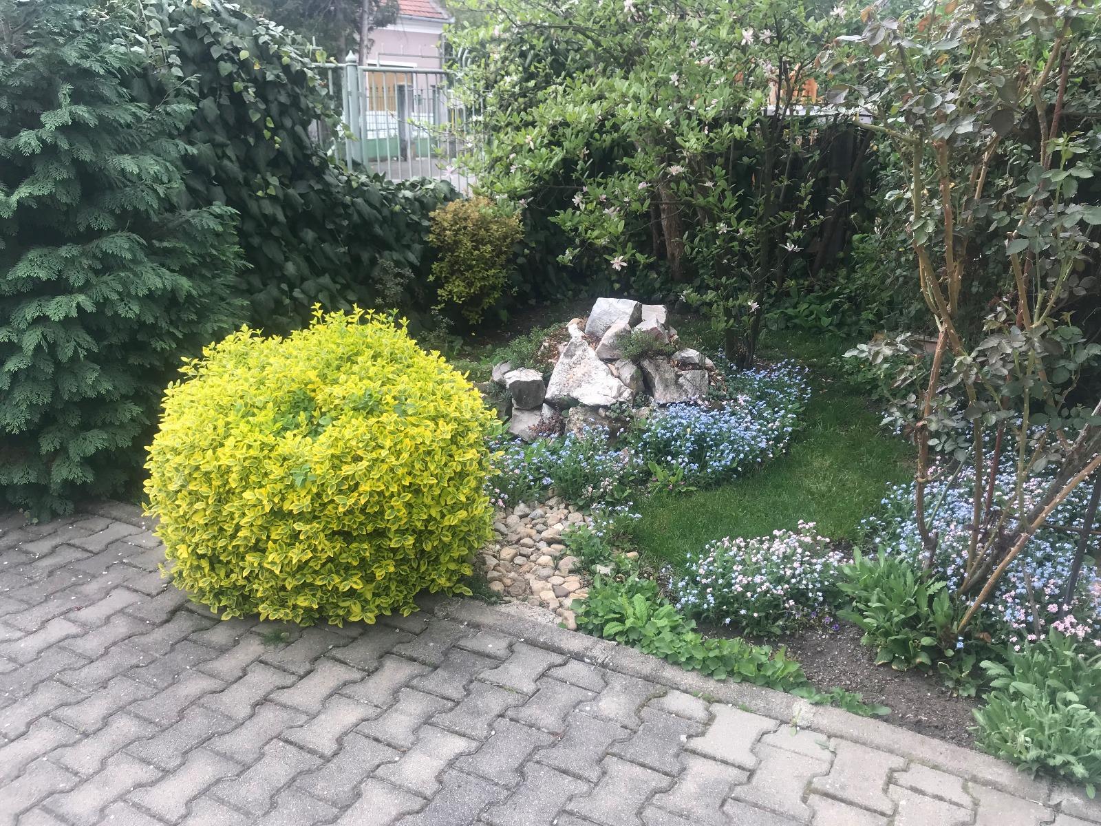 Casa de vânzare 3 camere Gheorgheni - 31288CV | BLITZ Cluj-Napoca | Poza12