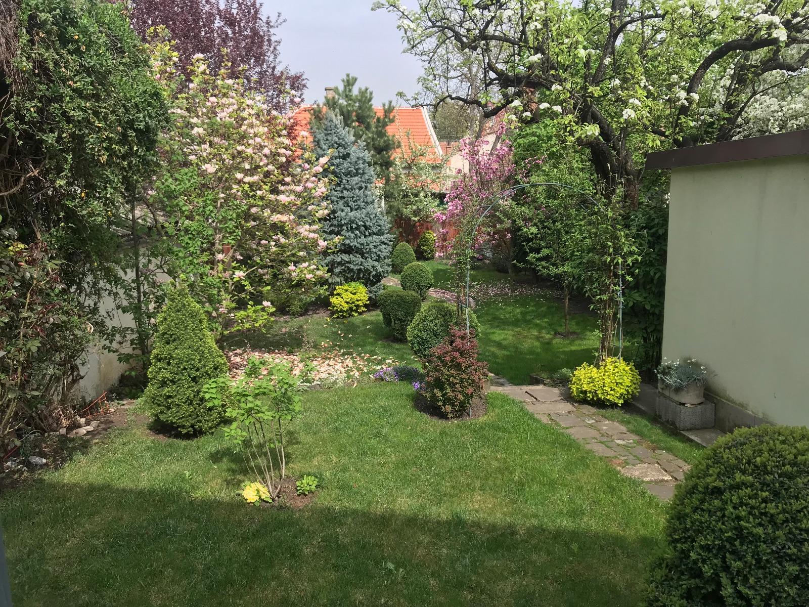 Casa de vânzare 3 camere Gheorgheni - 31288CV | BLITZ Cluj-Napoca | Poza14