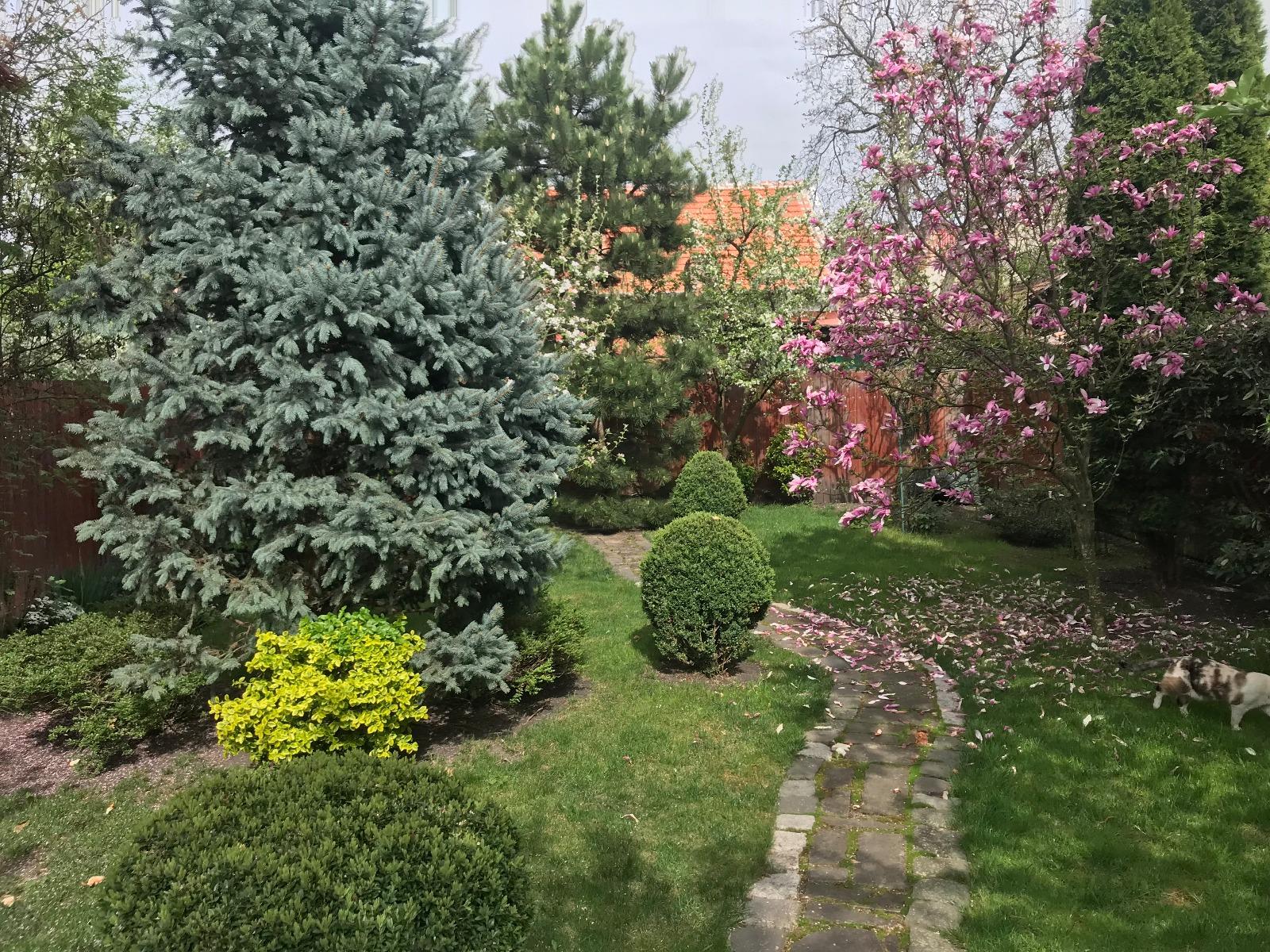 Casa de vânzare 3 camere Gheorgheni - 31288CV | BLITZ Cluj-Napoca | Poza13