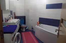 De vanzare apartament cu 3 camere, 75 mp! Zona strazii Tineretului!