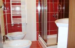 Casa individuala 120 mp utili, teren de 300 mp, zona strazii Constantin Brancusi