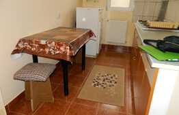 Apartament 1 camera, 49 mp, parcare, zona Garii