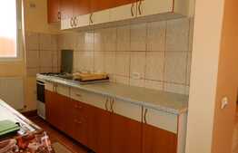 Apartament 1 camera, 49 mp, parcare, zona Garii