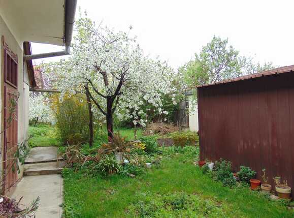 Casa de vânzare 3 camere Gruia - 31313CV | BLITZ Cluj-Napoca | Poza2