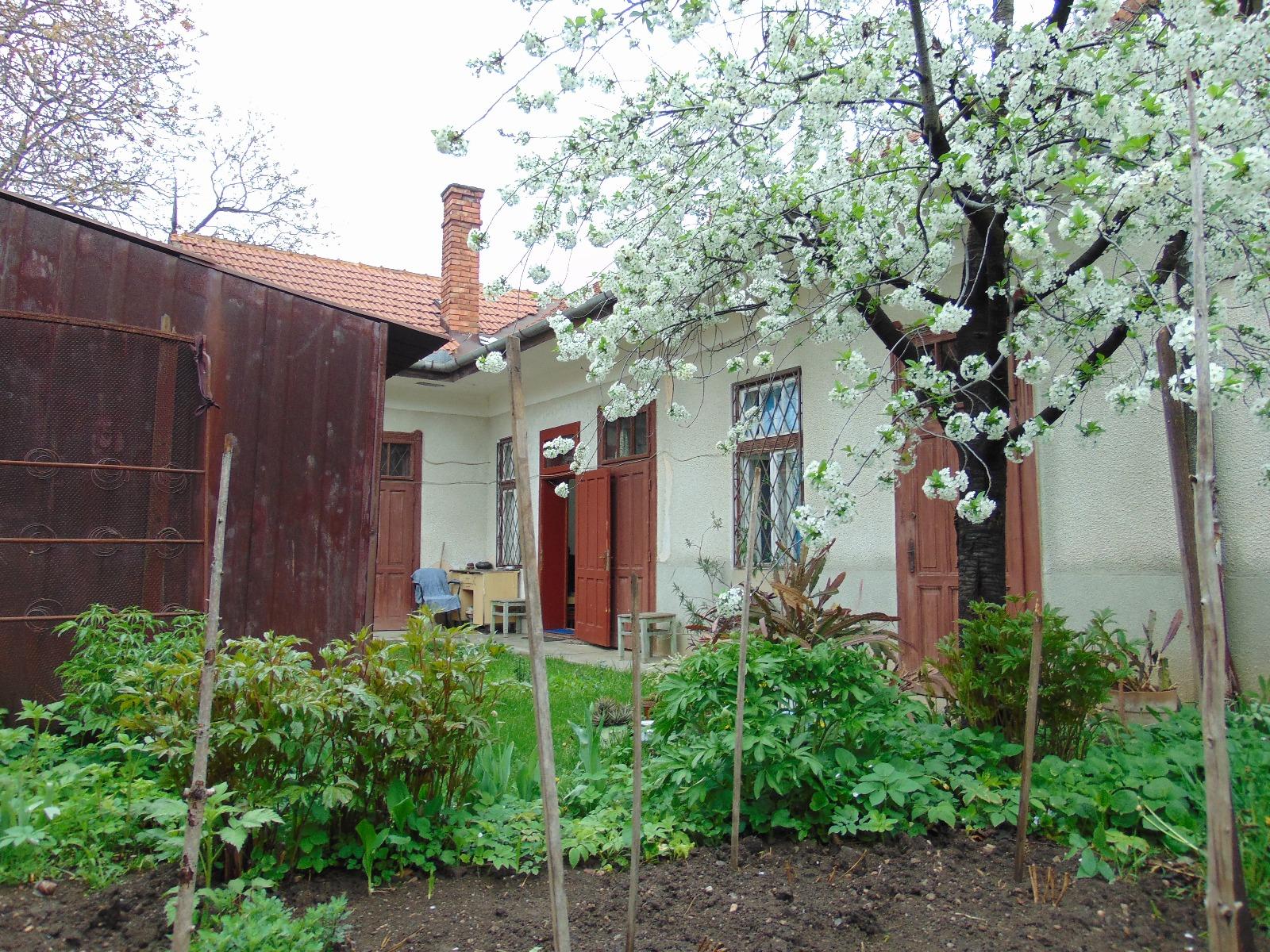 Casa de vânzare 3 camere Gruia - 31313CV | BLITZ Cluj-Napoca | Poza5