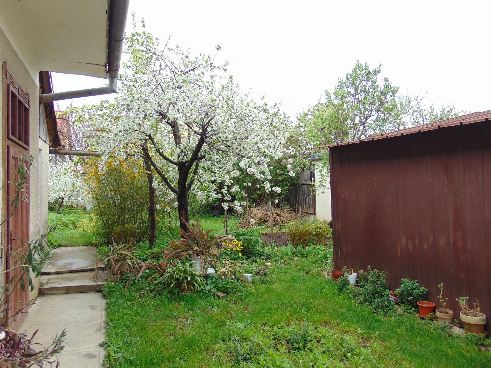 Casa de vânzare 3 camere Gruia - 31313CV | BLITZ Cluj-Napoca | Poza2