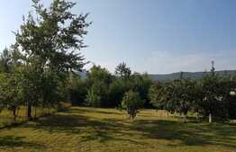 Casa individuala 400 mp, teren de 1748 mp, aspect deosebit, zona Hotel Still