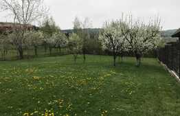 Casa individuala 400 mp, teren de 1748 mp, aspect deosebit, zona Hotel Still