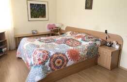 Casa individuala 400 mp, teren de 1748 mp, aspect deosebit, zona Hotel Still