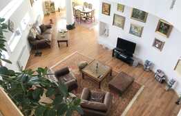 Casa individuala 400 mp, teren de 1748 mp, aspect deosebit, zona Hotel Still