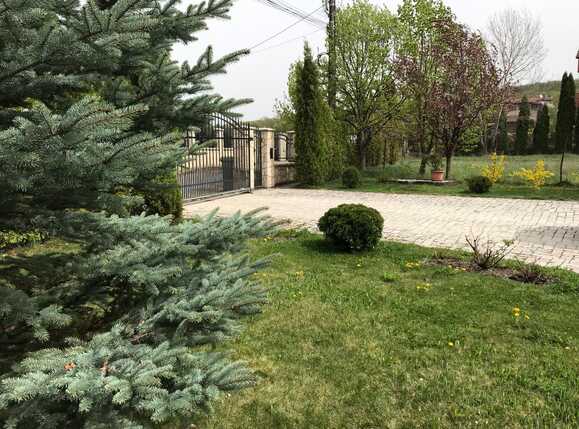Casa de vânzare 4 camere Făget - 31316CV | BLITZ Cluj-Napoca | Poza22